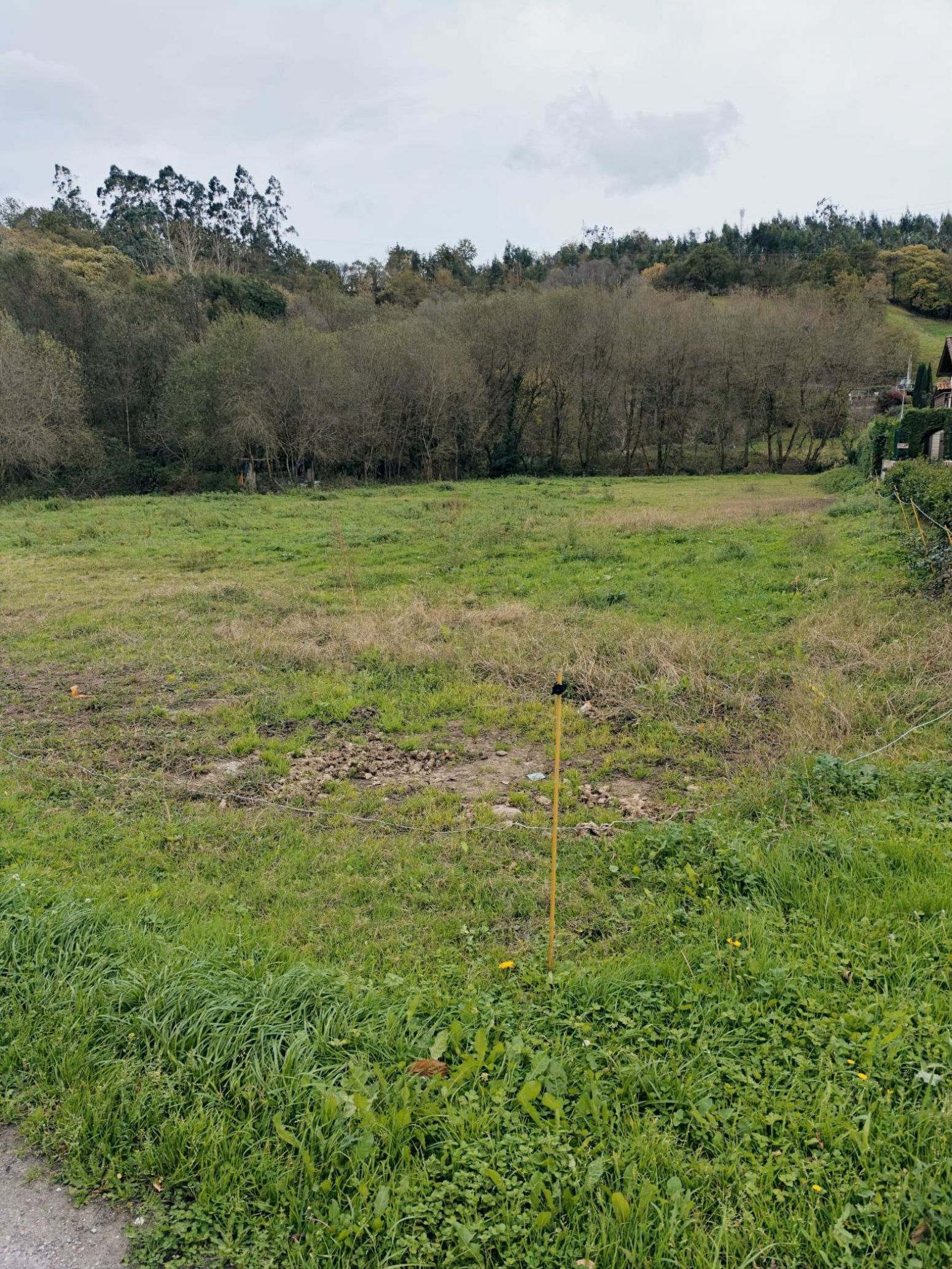 FINCA URBANA EN CARANCEJA (REOCIN)