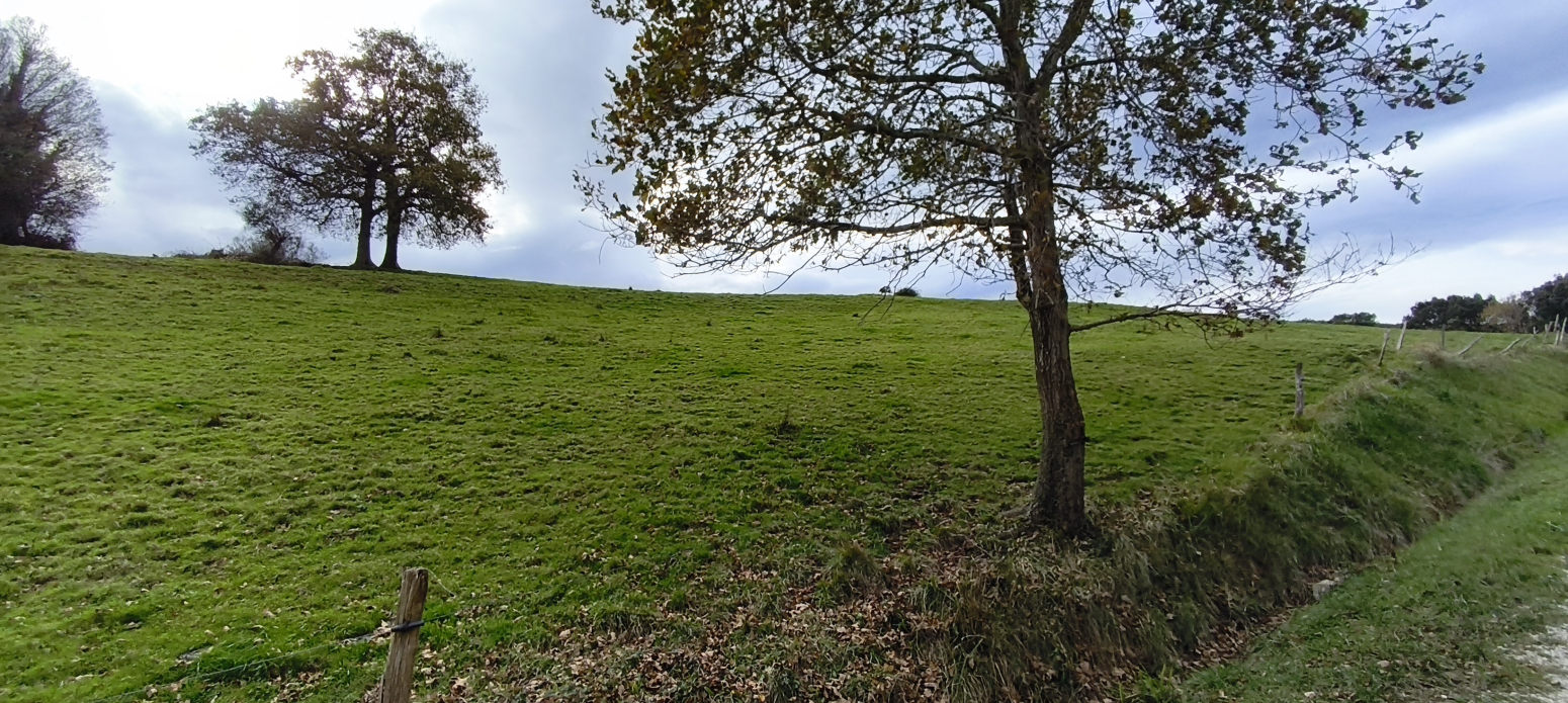 TERRENO EN GANDARILLA (SAN VICENTE DE LA BARQUERA)