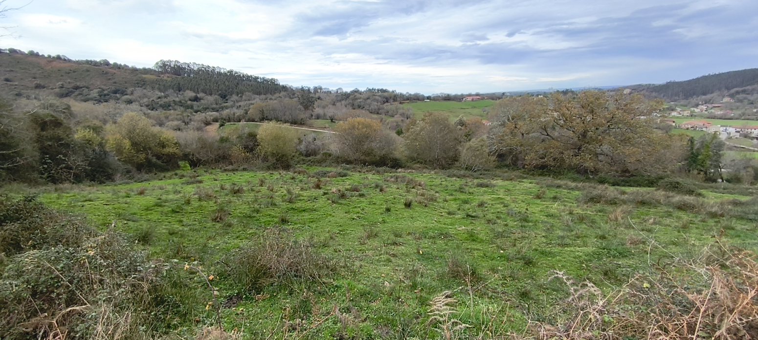 TERRENO EN GANDARILLA