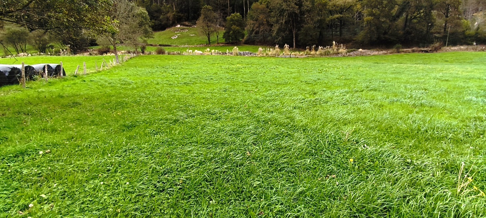 FINCA RUSTICA URBANIZABLE EN ROIZ (VALDALIGA)