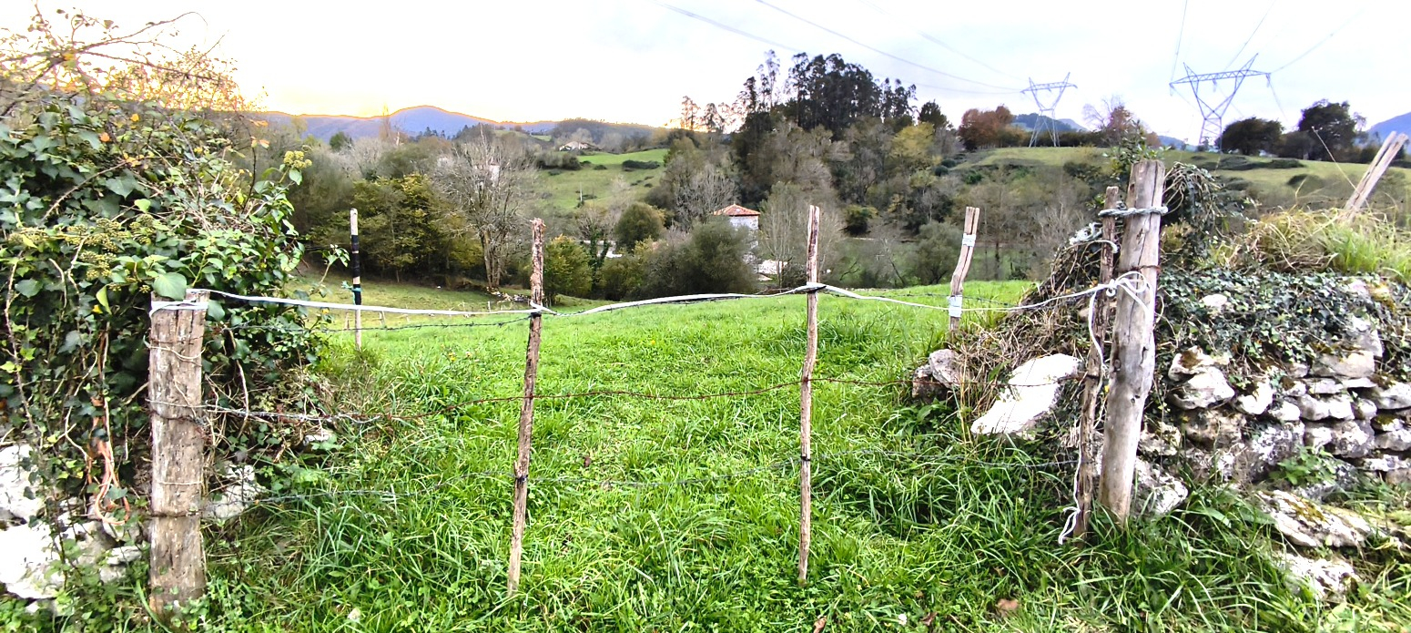 FINCA RUSTICA URBANIZABLE EN LAS CUEVAS (ROIZ)