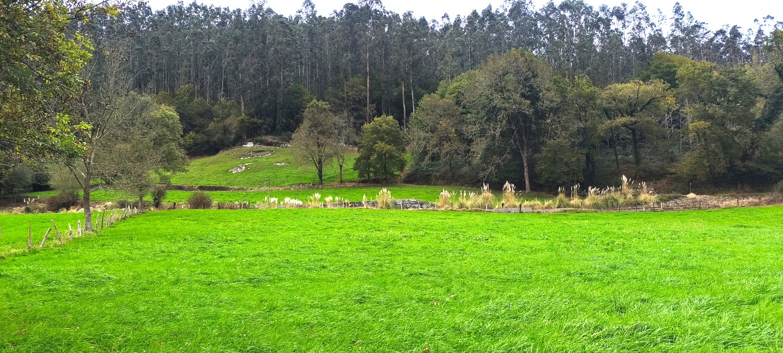 FINCA RUSTICA URBANIZABLE EN ROIZ (VALDALIGA)