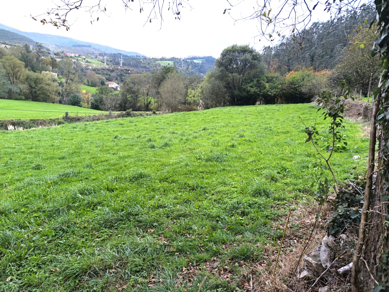 FINCA RUSTICA URBANIZABLE EN LAS CUEVAS (ROIZ)