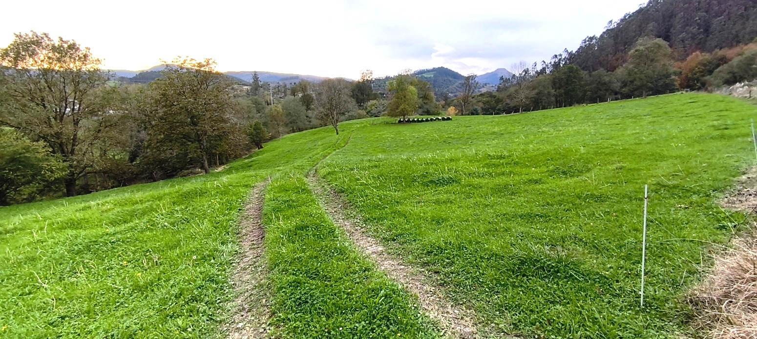 FINCA RUSTICA URBANIZABLE EN ROIZ (VALDALIGA)