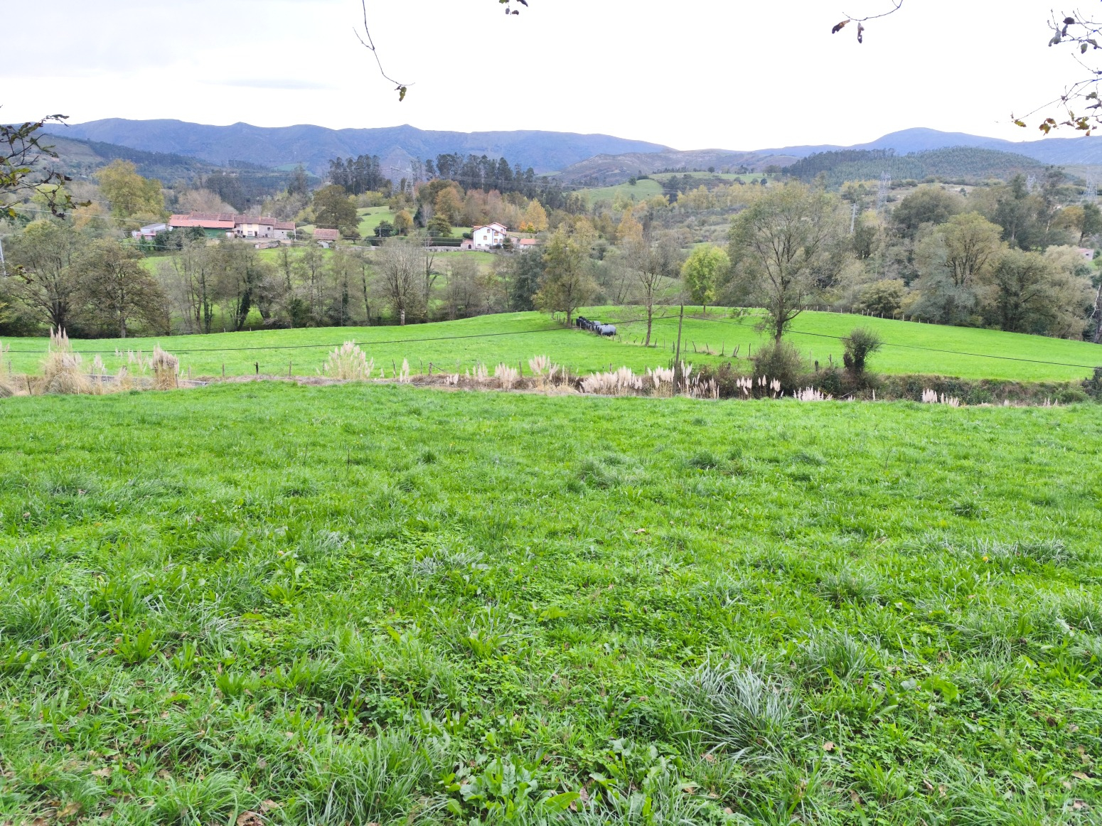 FINCA RUSTICA URBANIZABLE EN LAS CUEVAS (ROIZ)