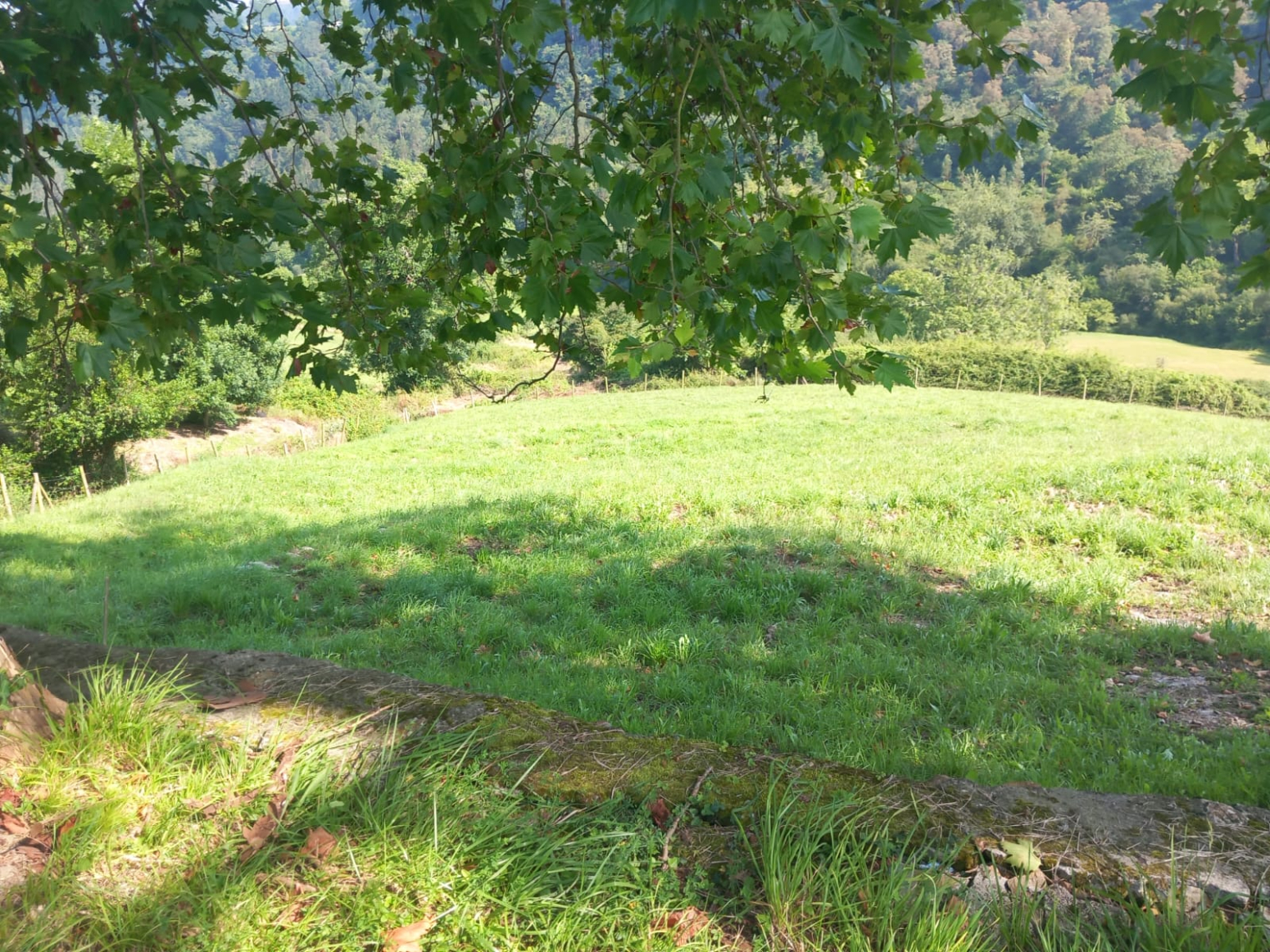 Finca Rústica en Labarces 