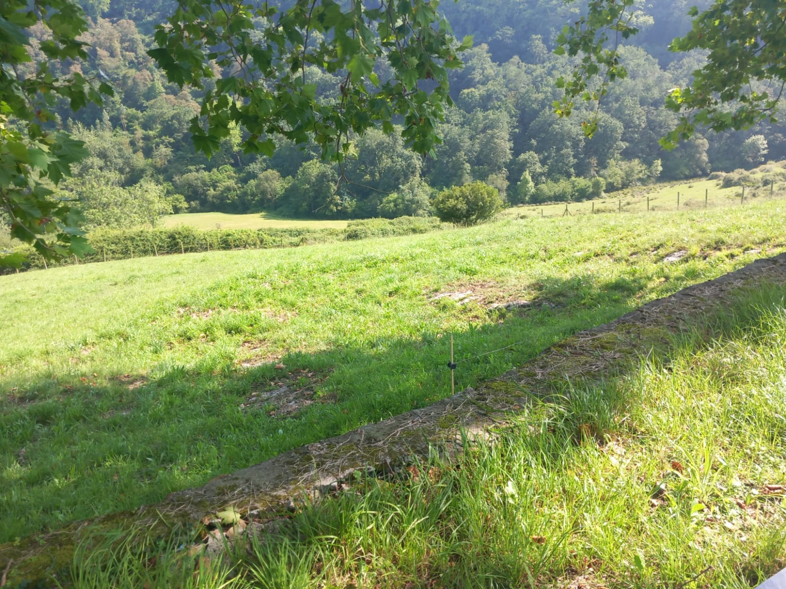 Finca Rústica en Labarces 