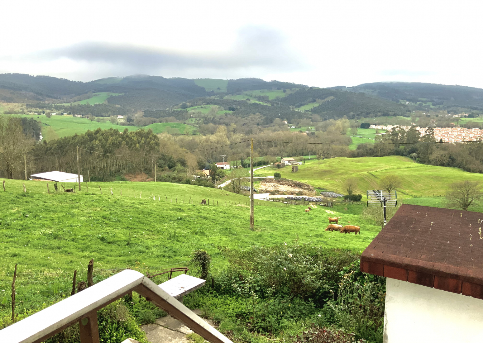 Finca en Hazas de Cesto 