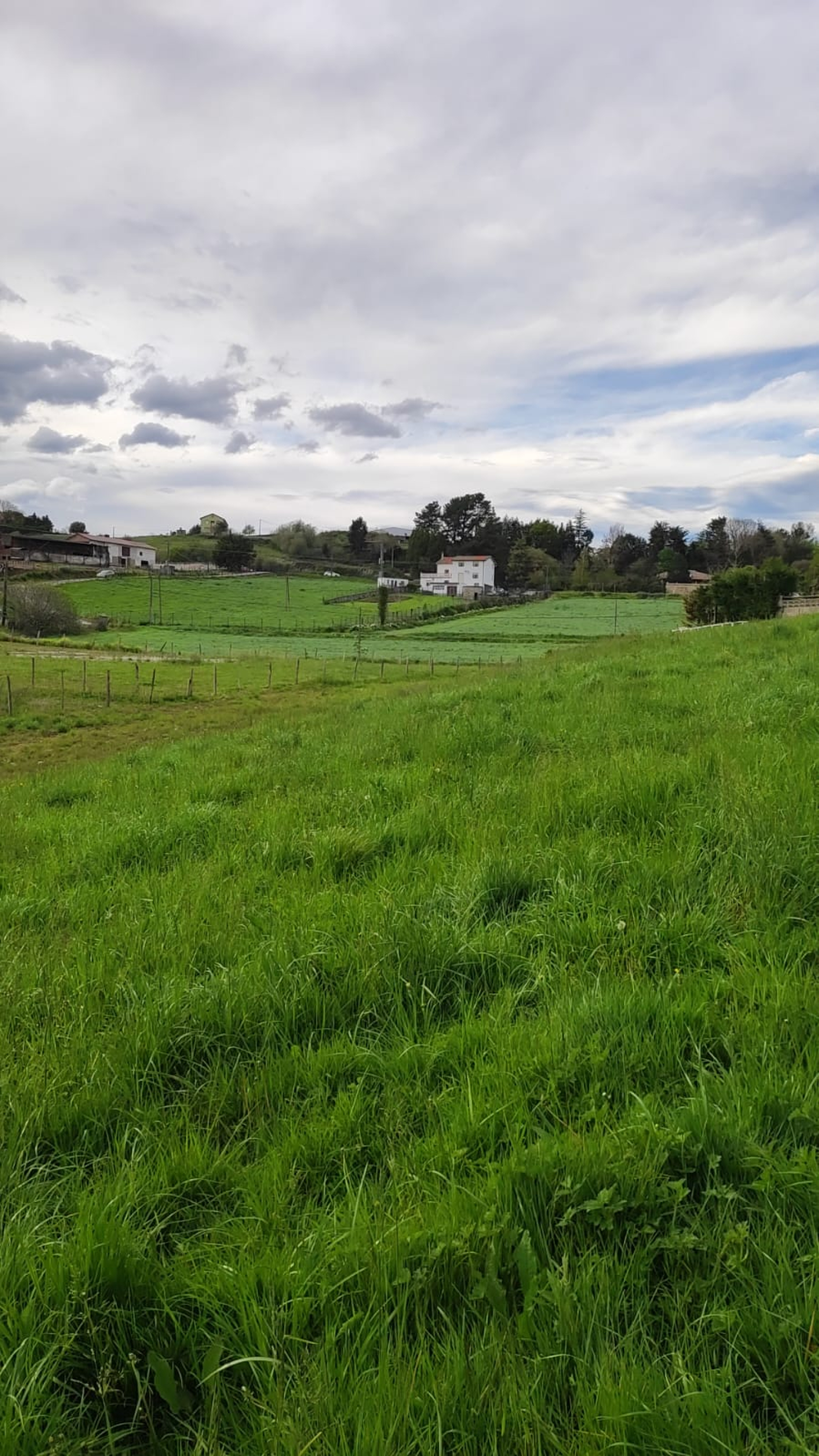 Finca urbana en Oruña de Piélagos