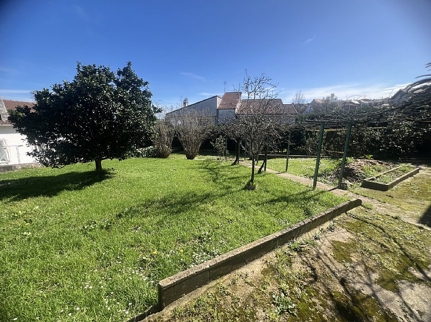 Chalet independiente con jardin, garaje, terraza y dos locales comerciales.