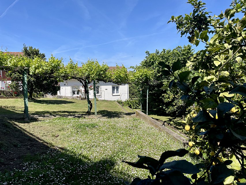 Chalet independiente con jardin, garaje, terraza y dos locales comerciales.