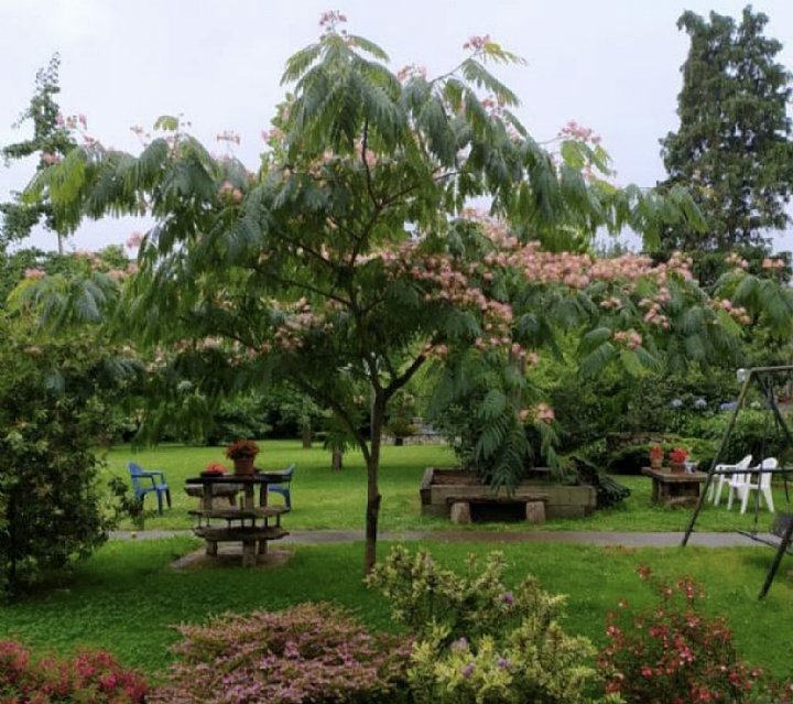 Espectacular casona de piedra con jardin en Camargo