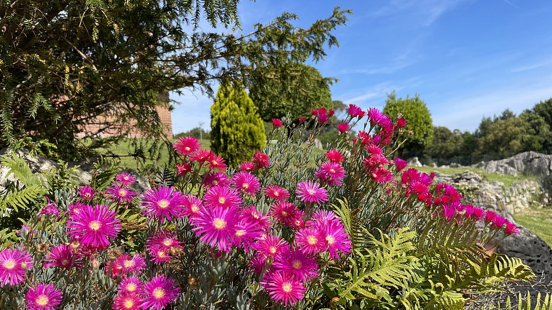 Chalet independiente con piscina privada en Islares