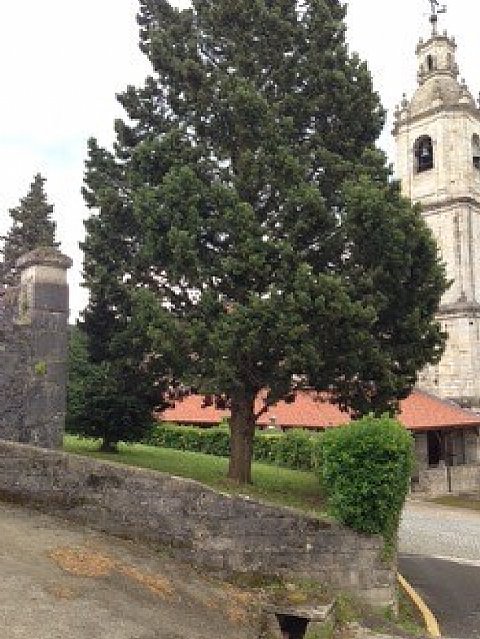 Suelo para construir vivienda
