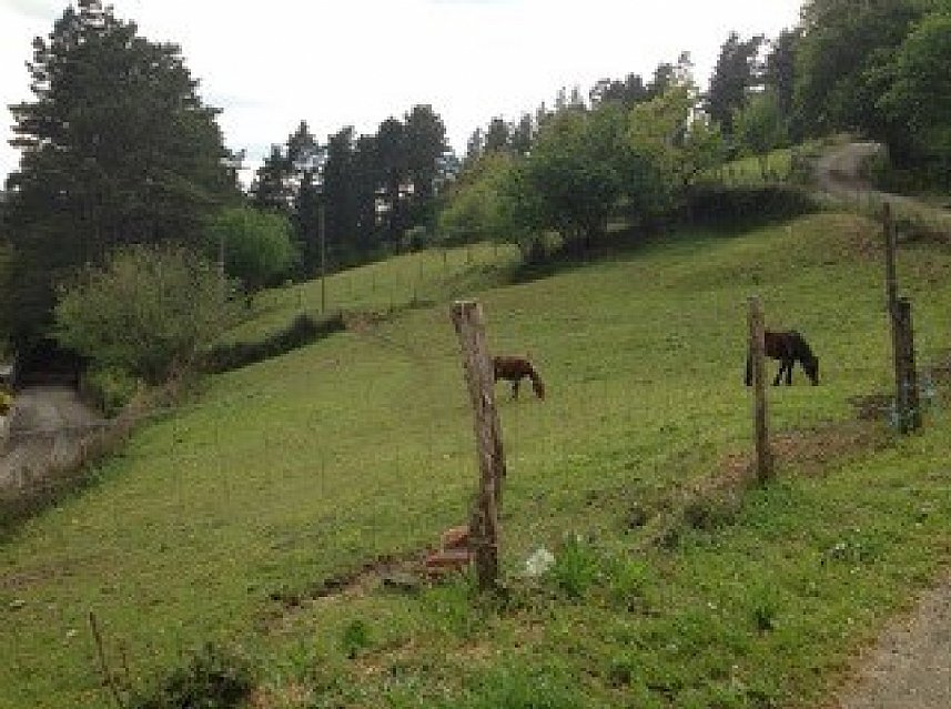 Suelo para construir vivienda