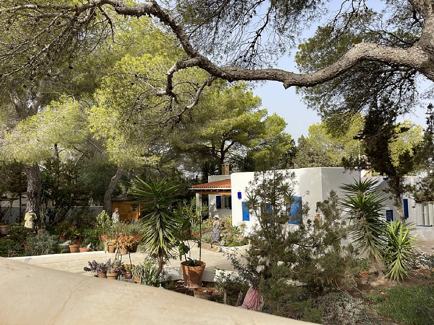 Casa independiente de 3 habitaciones con parcela de 1300 metros en Formentera