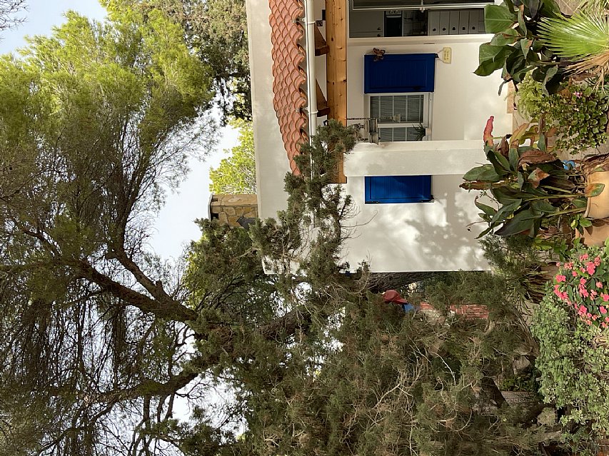 Casa independiente de 3 habitaciones con parcela de 1300 metros en Formentera