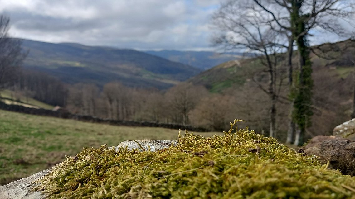 Cabaña de piedra con terreno y buen acceso en Luena