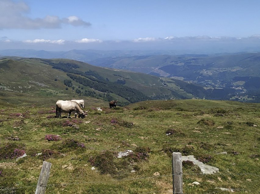 Cabaña de piedra con terreno y buen acceso en Luena