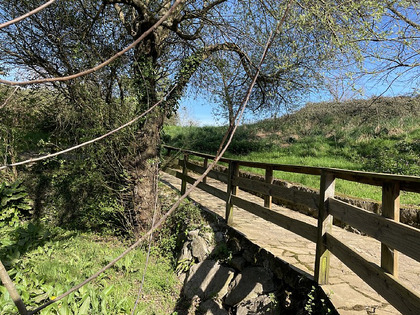 Parcela de 1600 metros apta para edificar vivienda en Pontejos