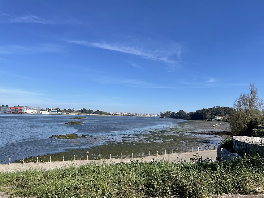 Parcela de 1600 metros apta para edificar vivienda en Pontejos