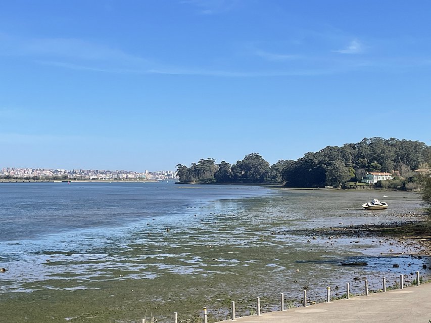 Parcela de 1600 metros apta para edificar vivienda en Pontejos