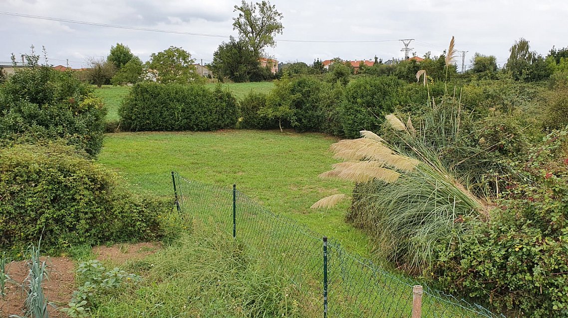 Parcela de 1600 metros apta para edificar vivienda en Pontejos