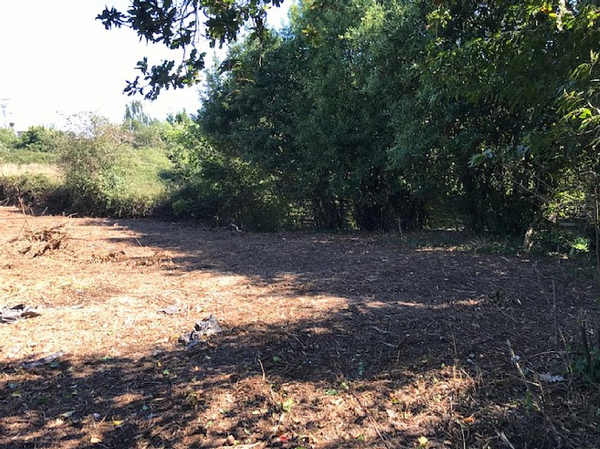 Parcela de 1600 metros apta para edificar vivienda en Pontejos