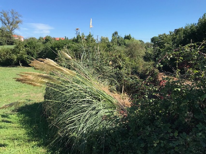 Parcela de 1600 metros apta para edificar vivienda en Pontejos