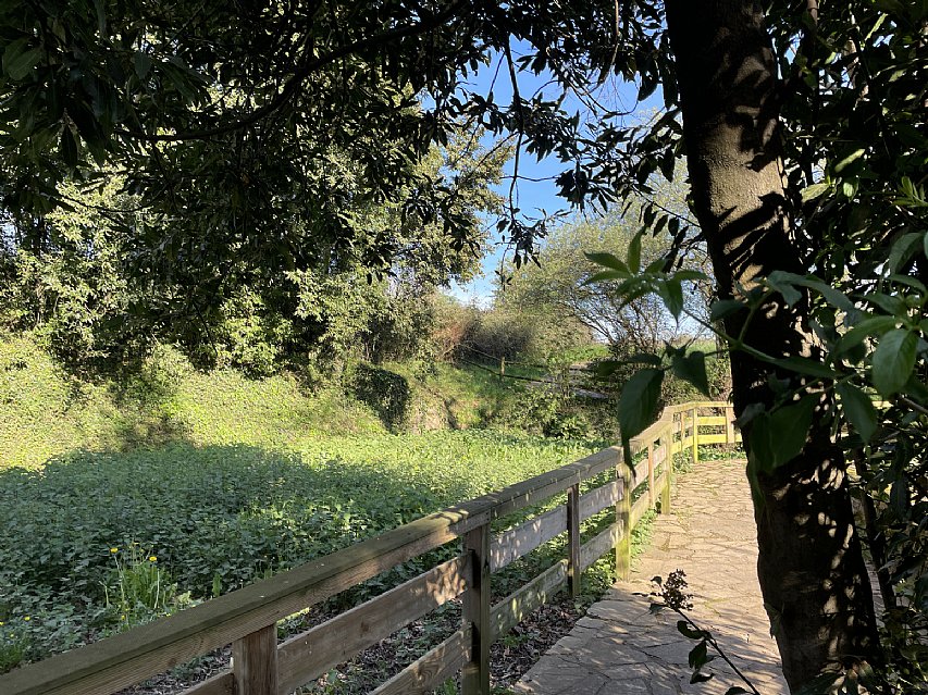 Parcela de 1600 metros apta para edificar vivienda en Pontejos