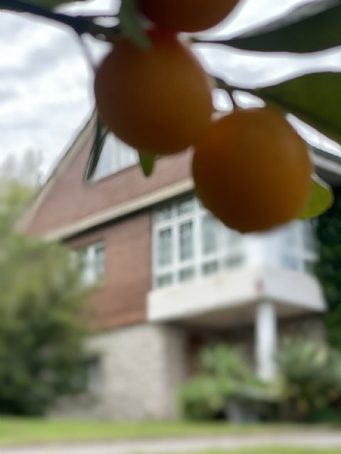 Chalet independiente con una parcela de 5000 metros, y unas impresionantes vistas a la bahia de Santander