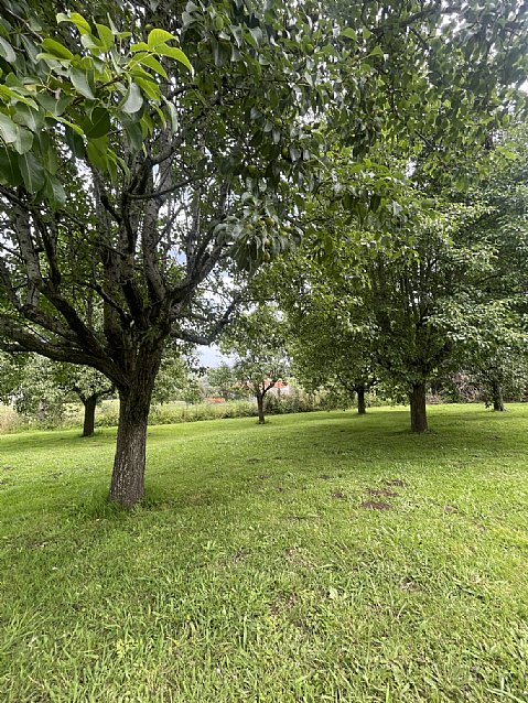 Chalet independiente con una parcela de 5000 metros, y unas impresionantes vistas a la bahia de Santander