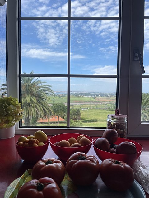 Chalet independiente con una parcela de 5000 metros, y unas impresionantes vistas a la bahia de Santander