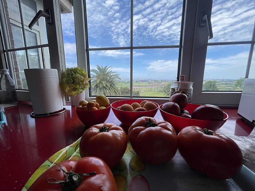 Chalet independiente con una parcela de 5000 metros, y unas impresionantes vistas a la bahia de Santander