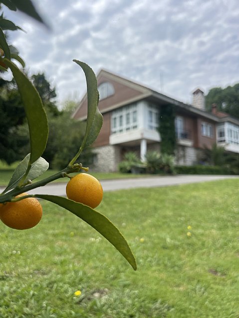 Chalet independiente con una parcela de 5000 metros, y unas impresionantes vistas a la bahia de Santander