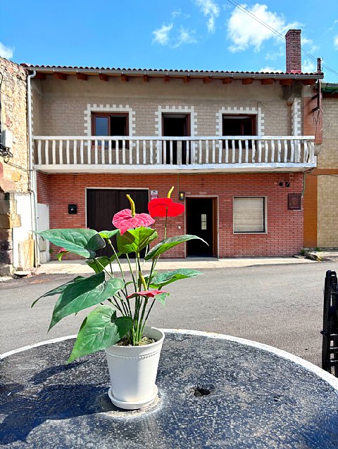 Casa con jardin en Puente Arce