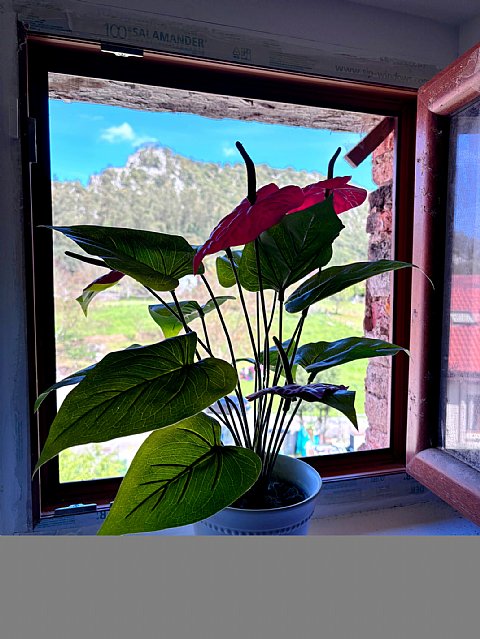 Casa con jardin en Puente Arce