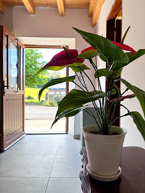 Casa con jardin en Puente Arce