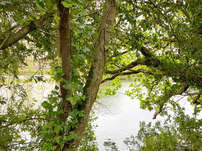 ESTUPENDA CASA CON JARDIN EN PUENTE ARCE