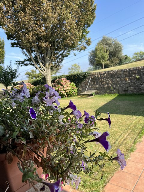 Espectacular chalet independiente en Reocin