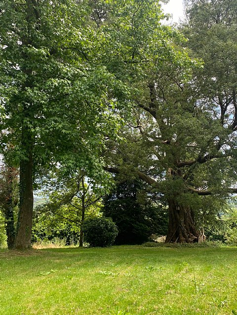 Chalet individual en Villaverde de Pontones