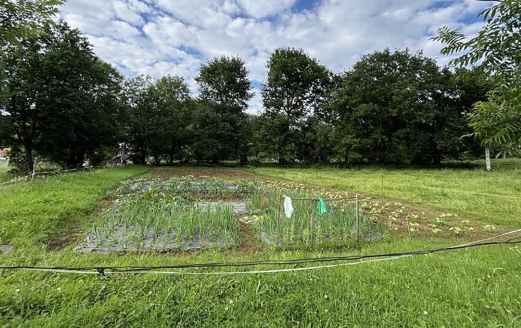 Terreno urbano en La Cavada
