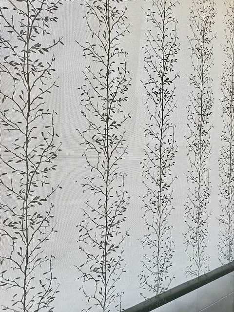 Alquiler de 3 hab baño y ascensor en Santander