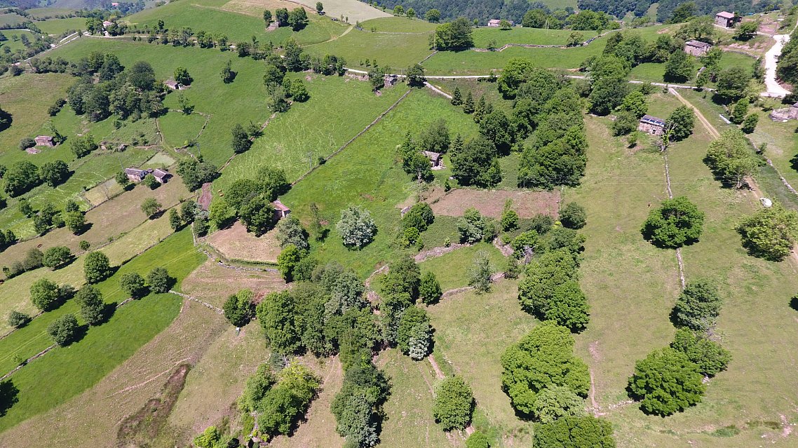 Cabaña en Pisueña, Selaya