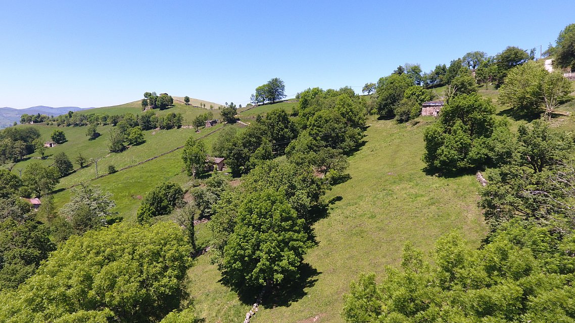 Cabaña en Pisueña, Selaya