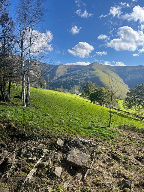 Encantadora casa-cabaña ubicada en un entorno rural privilegiado en el valle de Pisueña, Selaya