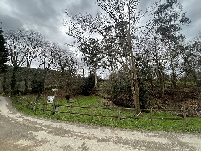 Conjunto de 2 chalets pareados con proyecto visado y licencia para reformar y con parcela de 2000 metros en plena naturaleza