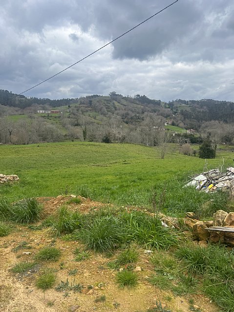 Conjunto de 2 chalets pareados con proyecto visado y licencia para reformar y con parcela de 2000 metros en plena naturaleza