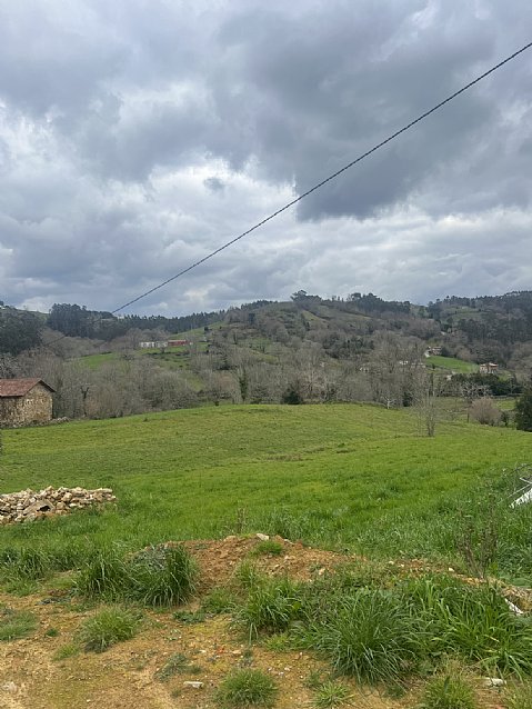 Conjunto de 2 chalets pareados con proyecto visado y licencia para reformar y con parcela de 2000 metros en plena naturaleza