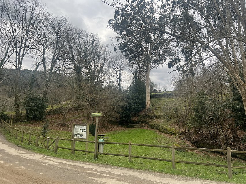 Conjunto de 2 chalets pareados con proyecto visado y licencia para reformar y con parcela de 2000 metros en plena naturaleza